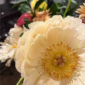 Meet your Posher, Jasmine